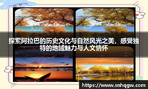 探索阿拉巴的历史文化与自然风光之美，感受独特的地域魅力与人文情怀