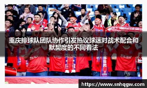 重庆排球队团队协作引发热议球迷对战术配合和默契度的不同看法
