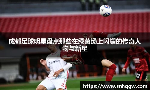 成都足球明星盘点那些在绿茵场上闪耀的传奇人物与新星