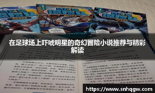 在足球场上吓唬明星的奇幻冒险小说推荐与精彩解读
